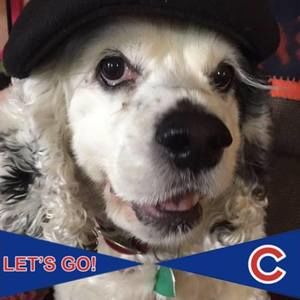 Meet your Posher, Jan